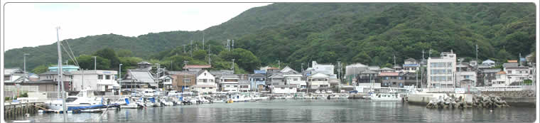 小島漁港の景観