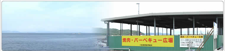 小島漁港 交通アクセス
